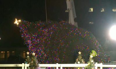 skynews tree white house christmas 6376110.jpg