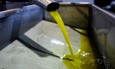 olive oil 1.jpg