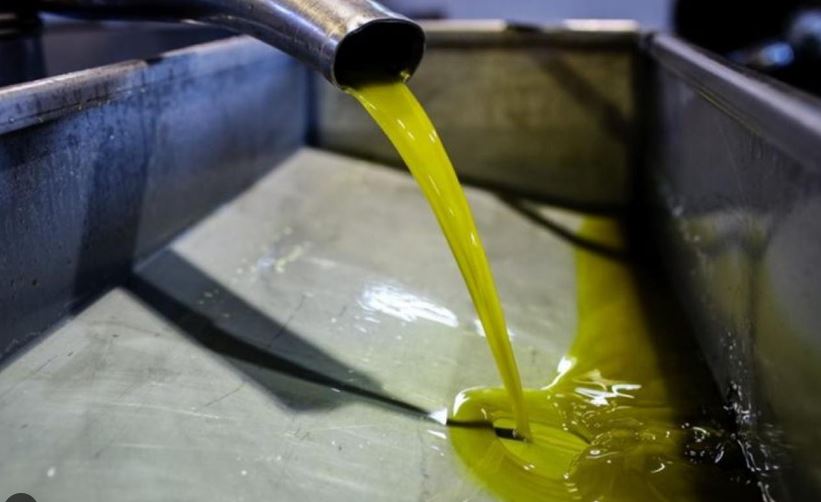 olive oil 1.jpg