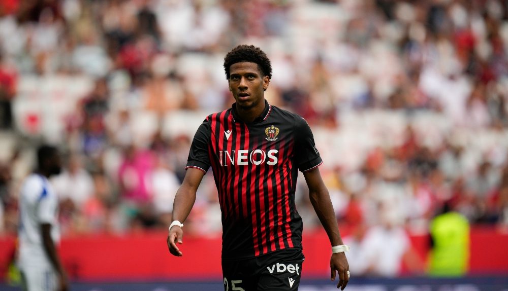 todibo.jpg