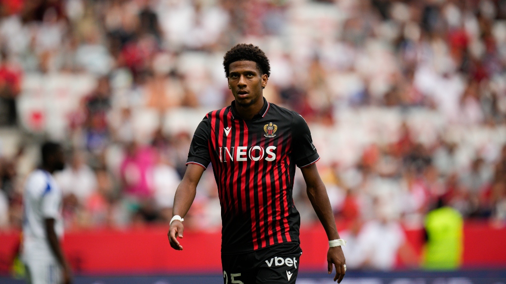 todibo.jpg