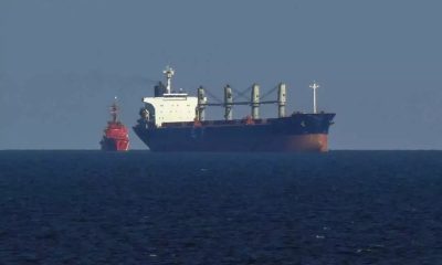 bulk carrier ape 1601 1200x798.jpg