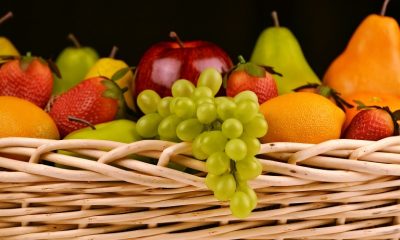 fruit basket 11.jpg