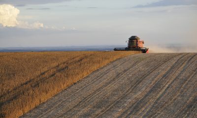 harvest g117e034b1 1280.jpg