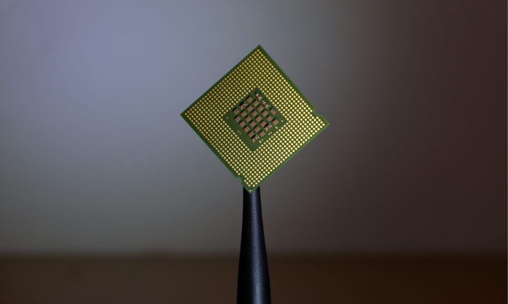 microchip 1 scaled.jpg