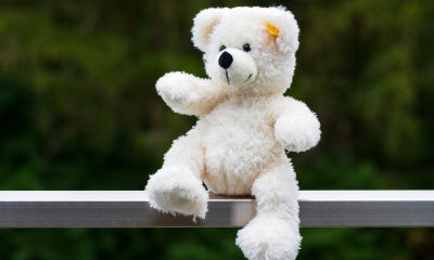 teddy bear 5438496 1280.jpg