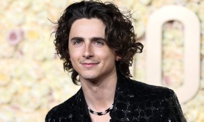 timothee chalamet.jpg