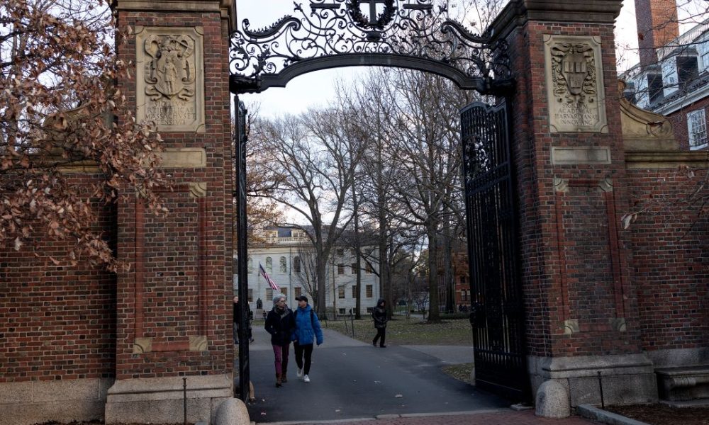 why harvard cant fire claudine gay dei hiring lack of merit.jpg