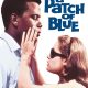 A Patch of Blue poster 683x1024.jpg