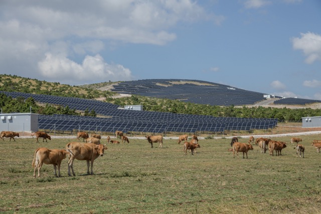 DSC 8516 – μέτρια