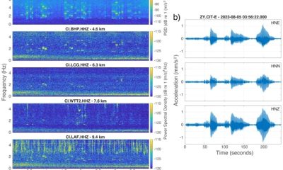 Tepp et al 2024 SRL Figure 2.jpg