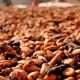 cocoa beans 2926207 640 620x350.jpg