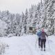 cross country skiing 5908416 1280 620x350.jpg