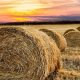 hay bale gd9dd66047 1280 620x350.jpg