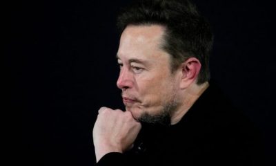 musk scaled 620x350.jpg