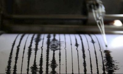 seismografos1 620x350.jpg