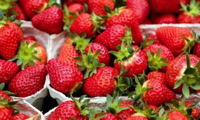 strawberries 1396330 1280 620x350.jpg