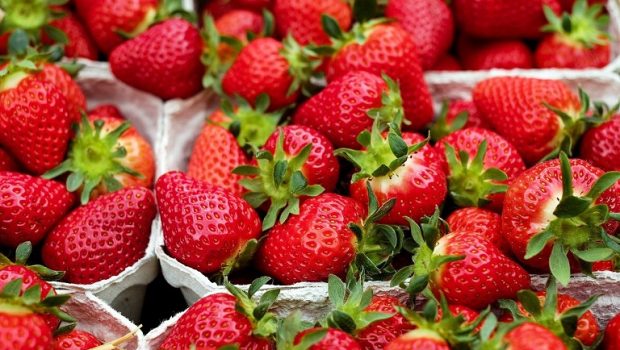 strawberries 1396330 1280 1 620x350.jpg