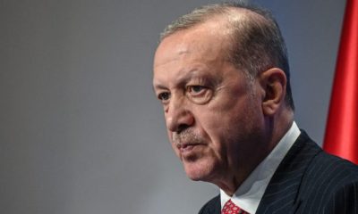 erdogan turkey art 620x350.jpg