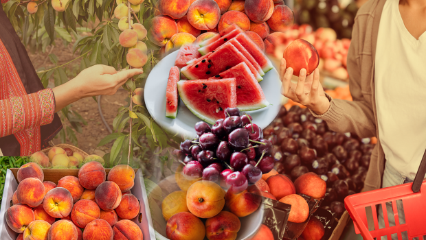 ot fruits to dish 620x350.png