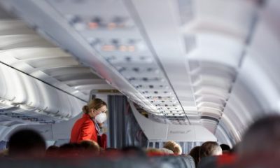 stewardess 6724287 1280 620x350.jpg