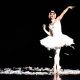 thumbnail Dying Swan Parma 2016 credit Roberto Ricci 1024x623.jpg