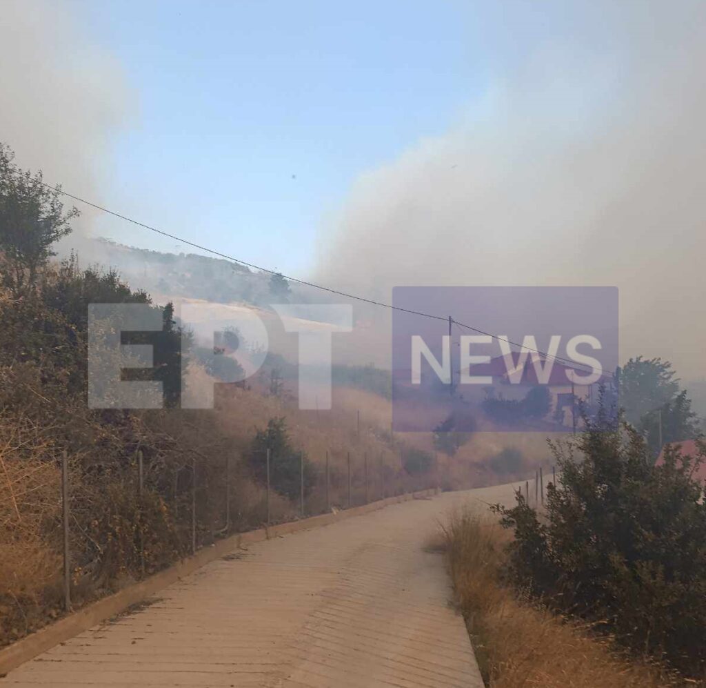 Καλαμπάκα: 112 για την πυρκαγιά σε δασική έκταση στο Ορθοβούνι