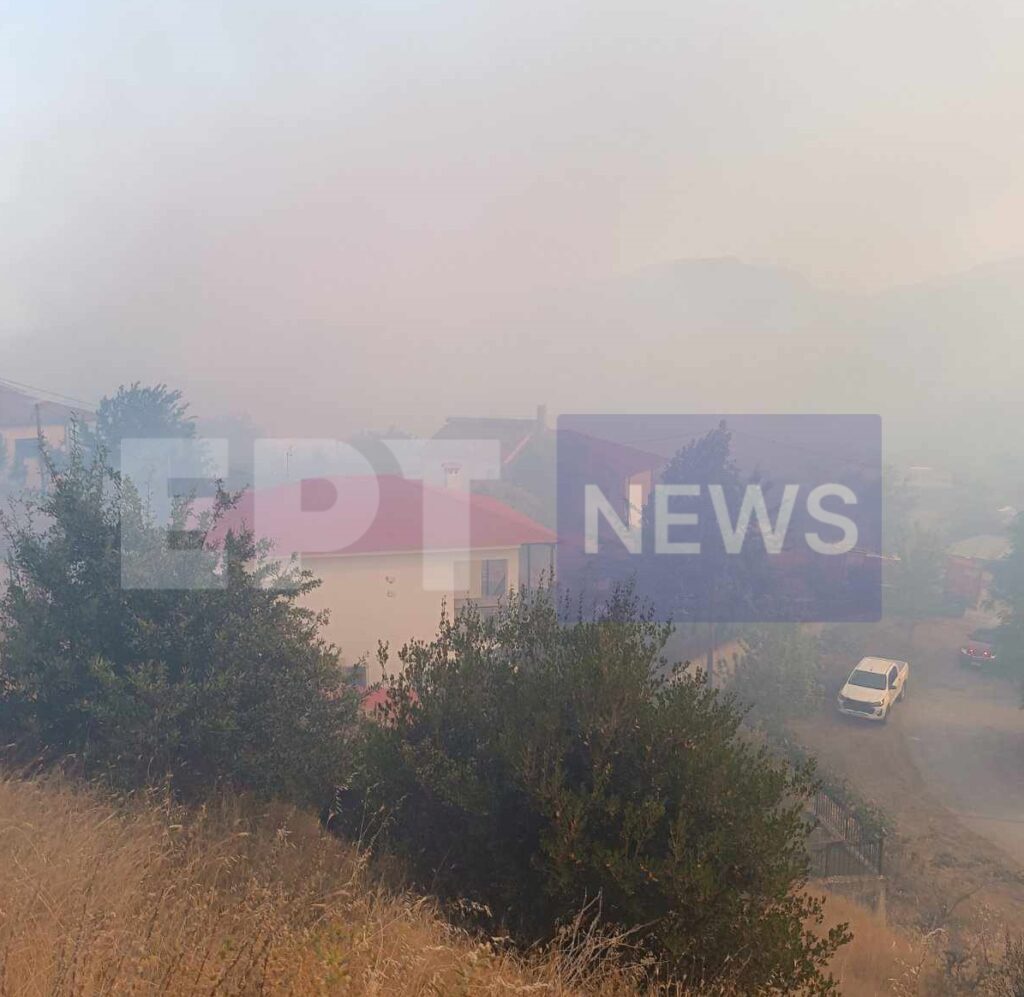 Καλαμπάκα: 112 για την πυρκαγιά σε δασική έκταση στο Ορθοβούνι