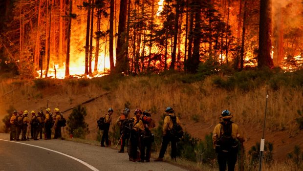 2024 07 29T062703Z 1637968877 RC2R49A37SIJ RTRMADP 5 USA WILDFIRES 620x350.jpg