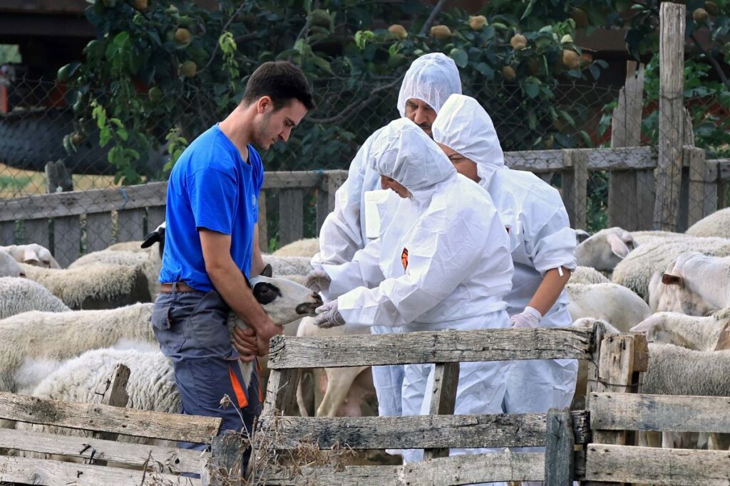 Λάρισα: Τιμήθηκαν απο την Περιφέρεια Θεσσαλίας οι κτηνίατροι που επιστρατεύθηκαν για την πανώλη των μηρυκαστικών