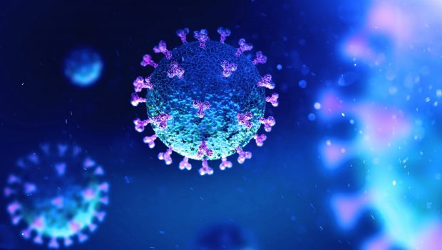 coronavirus scaled 620x350.jpg