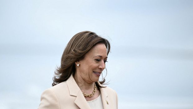 kamala harris brat 1 620x350.jpg