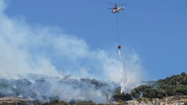 lesvos7 7 1 620x350.jpg