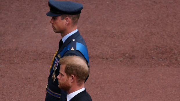 prince harry prince william 620x350.jpg