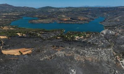 2024 08 14T121631Z 695610894 RC2MF9AOWXA7 RTRMADP 5 EUROPE WEATHER GREECE WILDFIRE AFTERMATH 620x350.jpeg