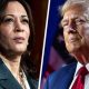 240729 kamala harris donald trump 2 up split 3x2 ac 439p 6af673 620x350.jpg