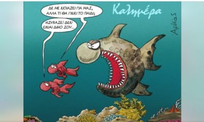 arkas 1 620x350.jpeg