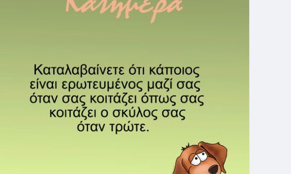 arkas 584x350.jpeg