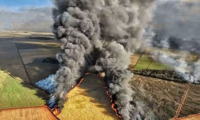 brazil fires 620x350.jpg