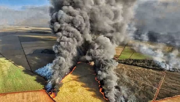 brazil fires 620x350.jpg