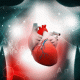 cardiovascular disease 620x350.gif