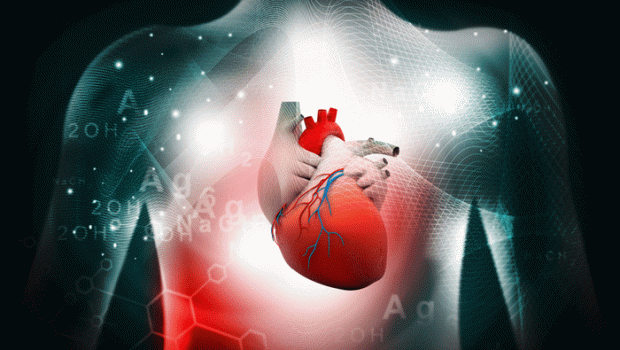 cardiovascular disease 620x350.gif