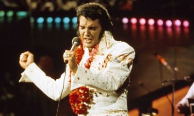 elvis 620x350.jpg