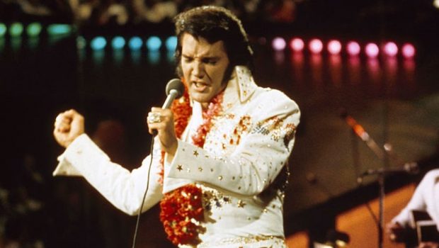 elvis 620x350.jpg