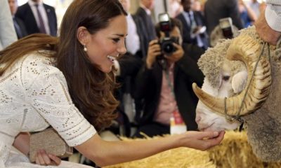 kate middleton 620x350.jpg