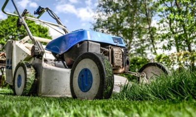 lawn mower 384589 640 620x350.jpg