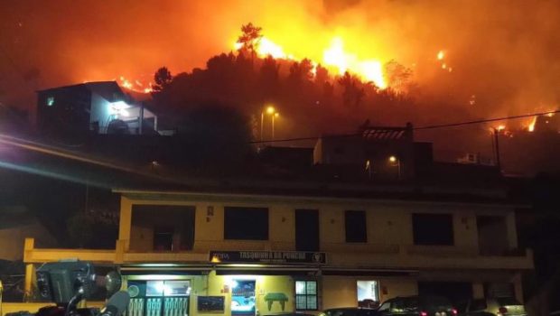 madeira fire 620x350.jpg