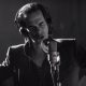 nick cave 620x350.jpg