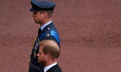 prince william prince harry 1 620x350.jpg