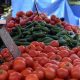 tomates 1024x684 1 620x350.jpg